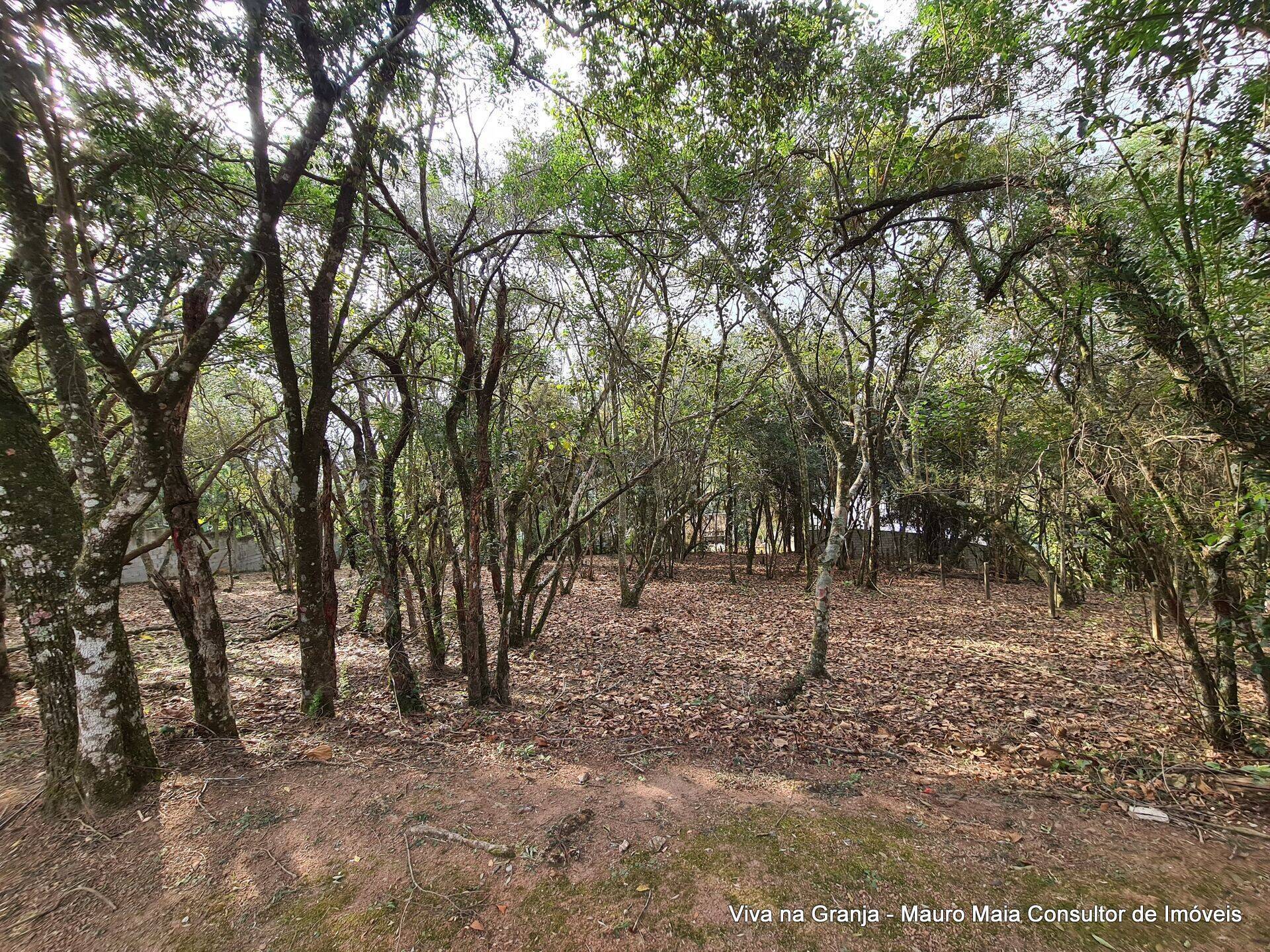 Terreno, 1575 m² - Foto 1