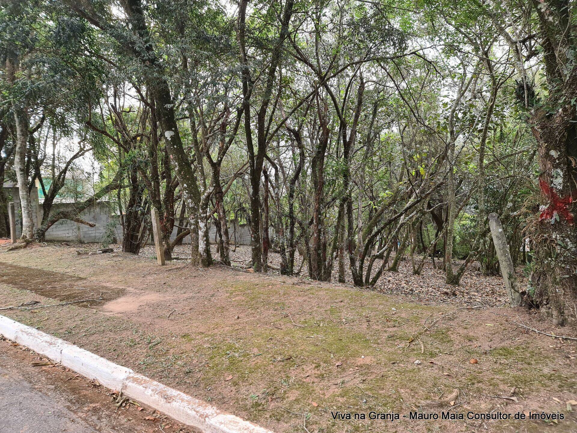 Terreno, 1575 m² - Foto 3