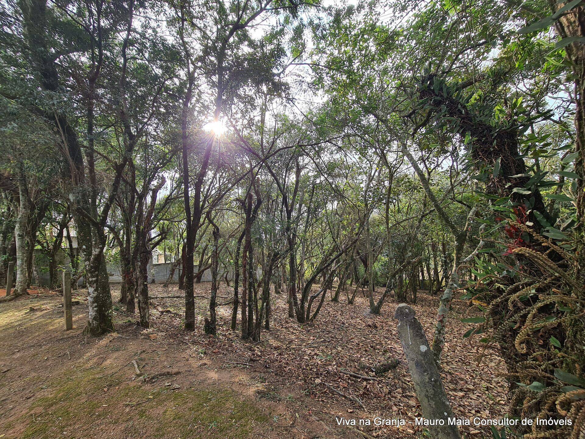 Terreno, 1575 m² - Foto 4