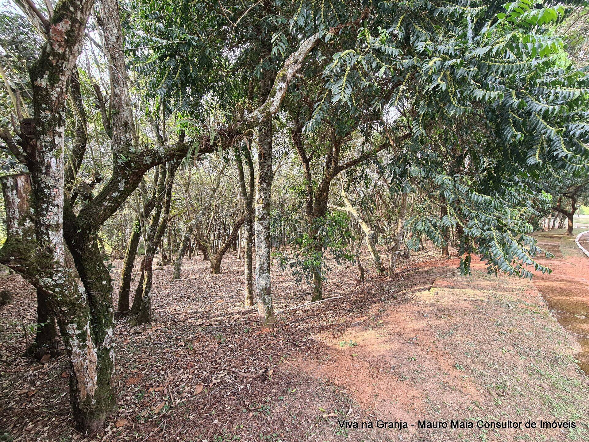 Terreno, 1575 m² - Foto 5