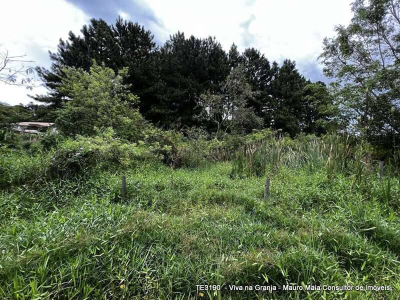 Terreno, 1420 m² - Foto 4