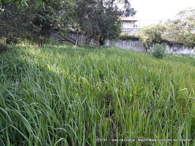 Terreno, 1483 m² - Foto 7