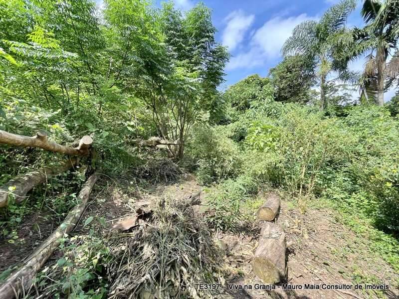 Terreno, 907 m² - Foto 6