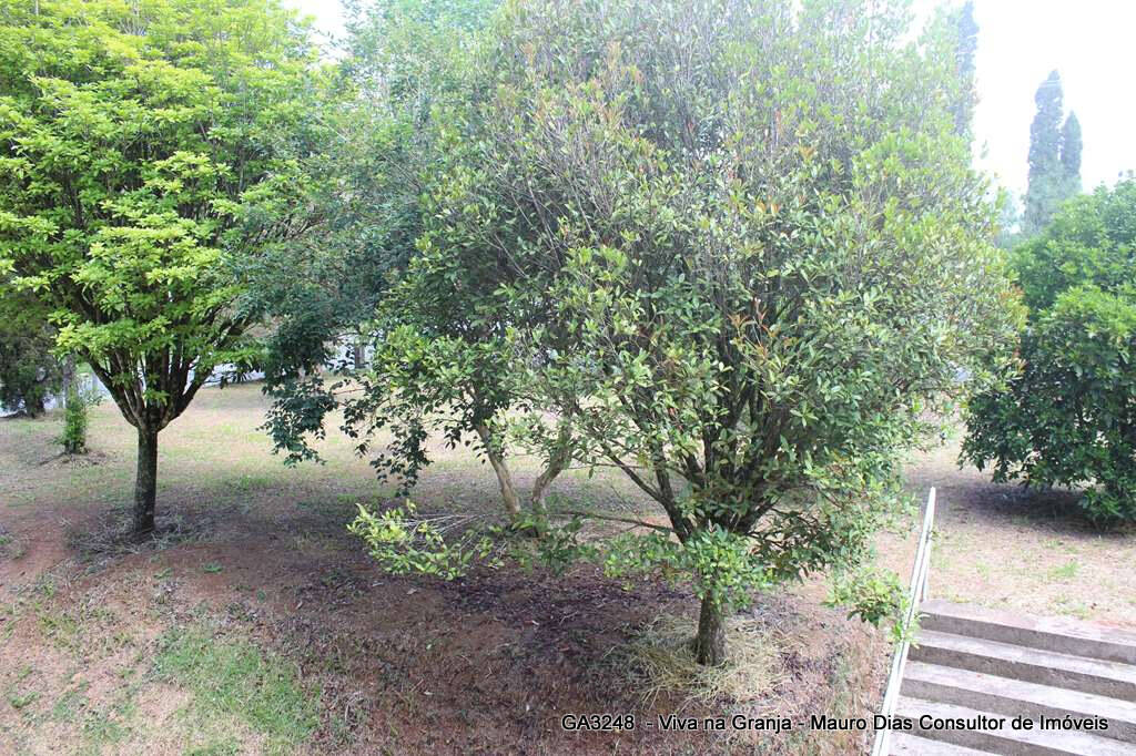 Depósito-Galpão, 505 m² - Foto 44