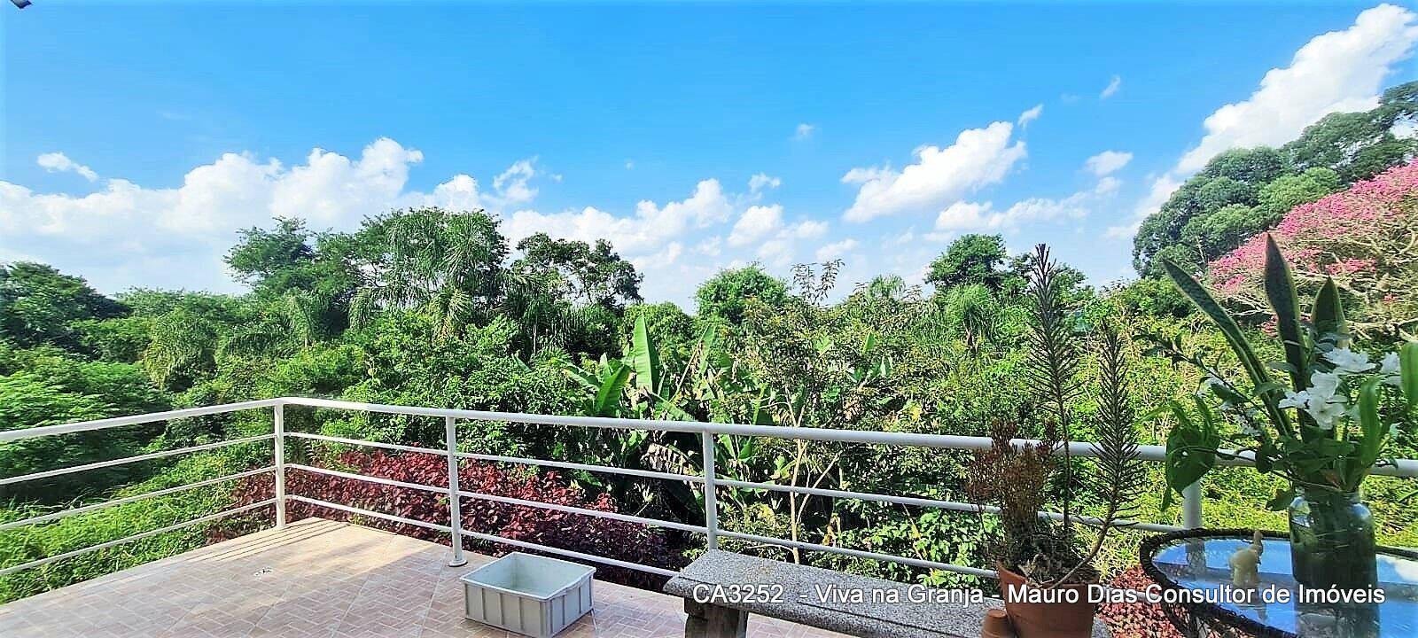 Casa, 5 quartos, 445 m² - Foto 26