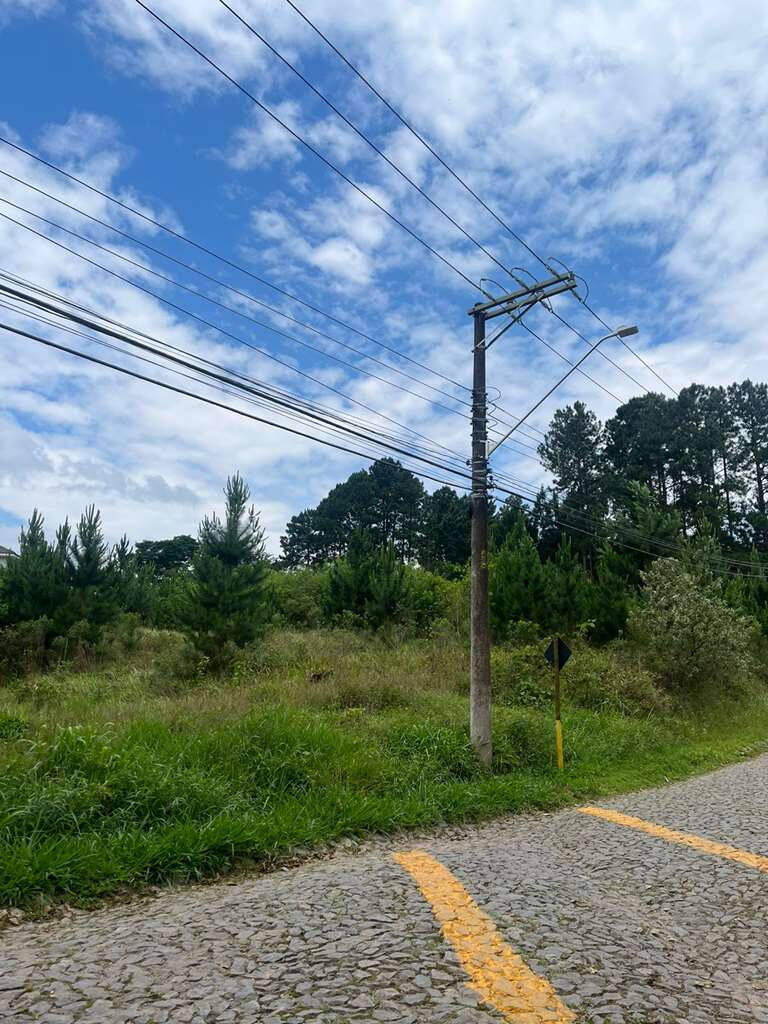 Terreno, 4973 m² - Foto 5