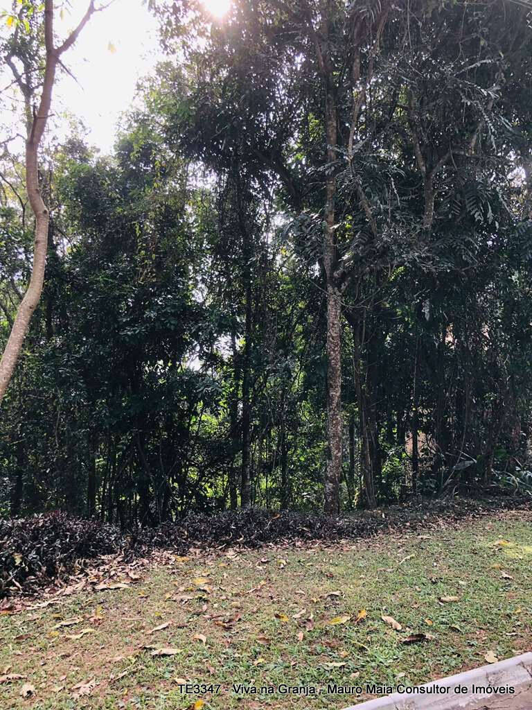 Terreno, 381 m² - Foto 4