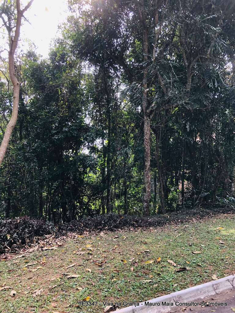Terreno, 381 m² - Foto 5