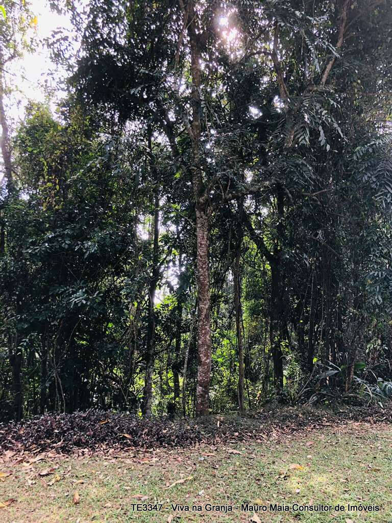 Terreno, 381 m² - Foto 6