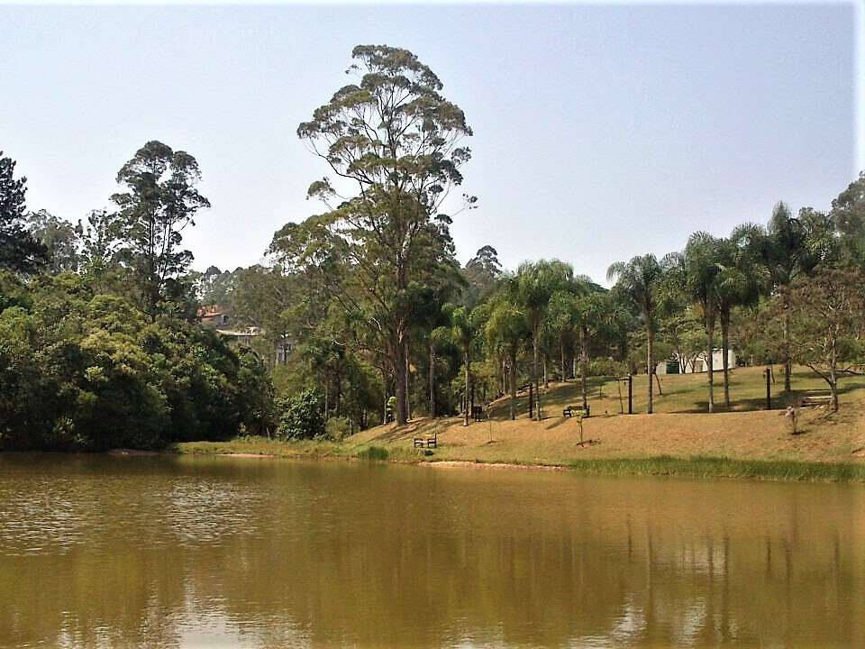 Casa de Condomínio, 3 quartos - Foto 65