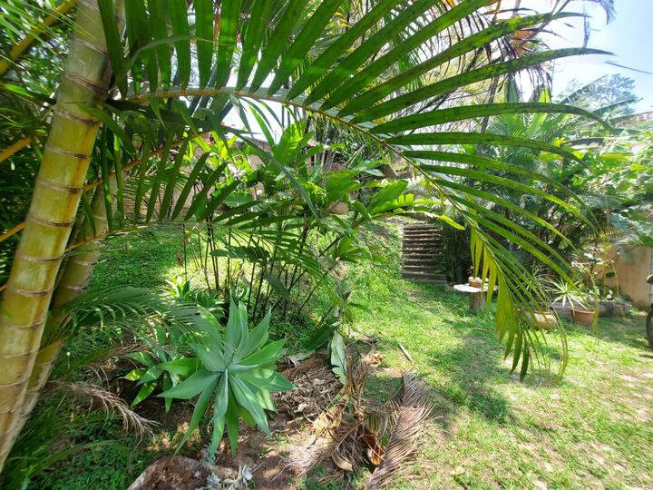 Sala-Conjunto, 300 m² - Foto 6