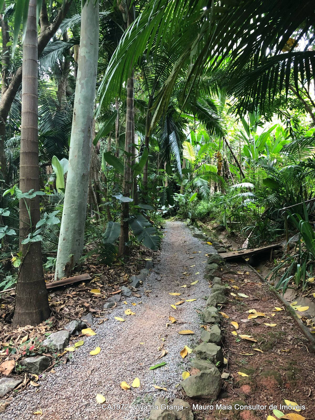 Casa de Condomínio, 3 quartos - Foto 64