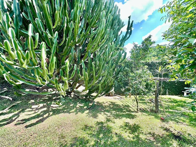 Casa de Condomínio à venda com 4 quartos, 345m² - Foto 47