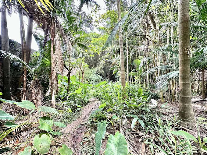 Casa, 1 quarto, 35 m² - Foto 23