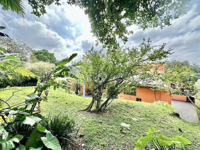 Casa, 4 quartos, 218 m² - Foto 38