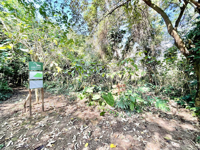 Casa de Condomínio à venda com 3 quartos, 412m² - Foto 43