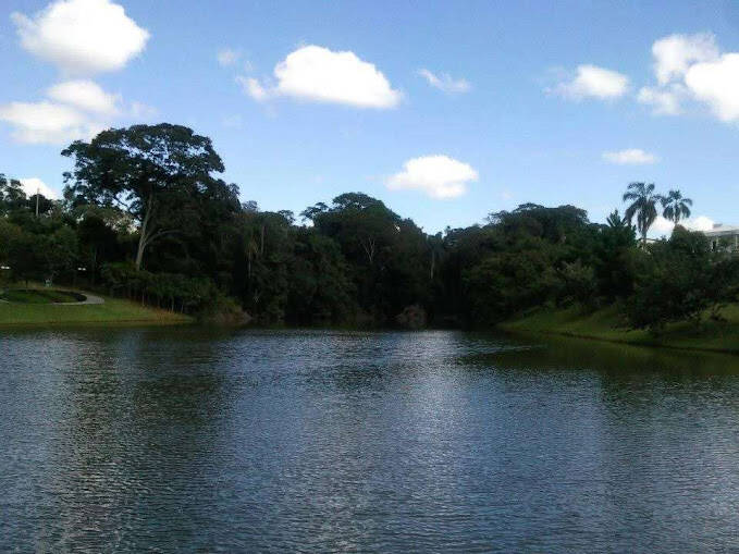 Casa de Condomínio à venda com 3 quartos, 382m² - Foto 23