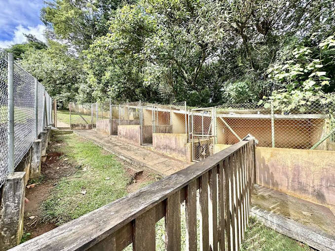 Casa, 3 quartos, 233 m² - Foto 11