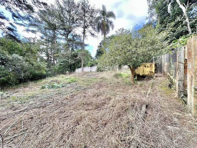 Casa, 3 quartos, 233 m² - Foto 46