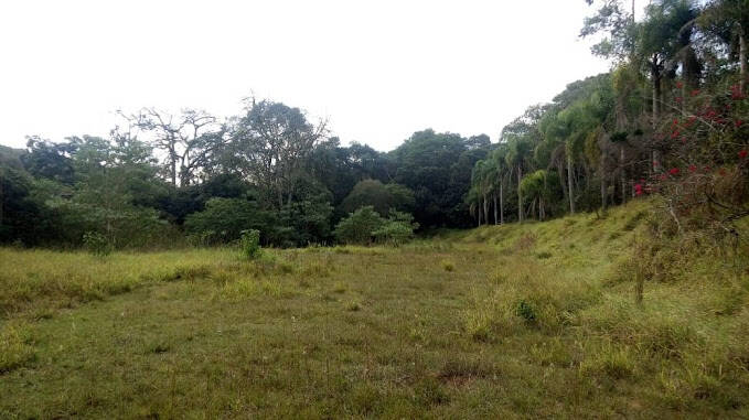 Prédio Inteiro - Foto 12