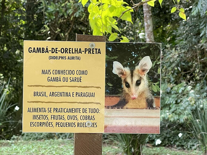 Casa de Condomínio - Foto 65