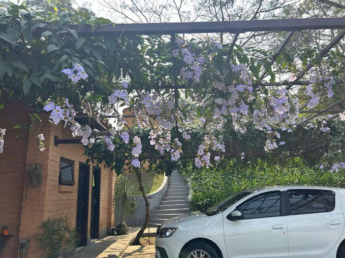 Casa de Condomínio, 2 quartos - Foto 54