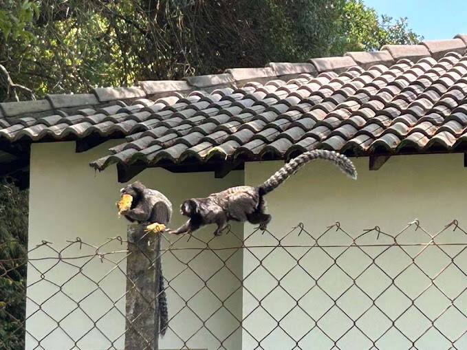 Casa de Condomínio, 2 quartos - Foto 55