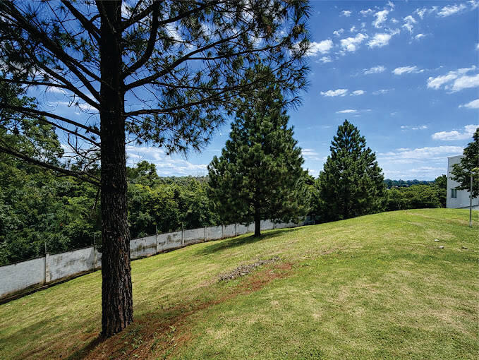 Terreno, 777 m² - Foto 6