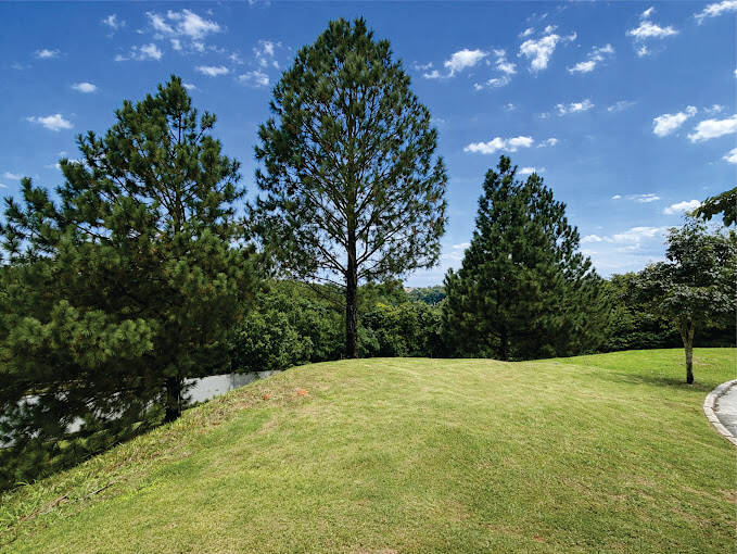 Terreno, 777 m² - Foto 4