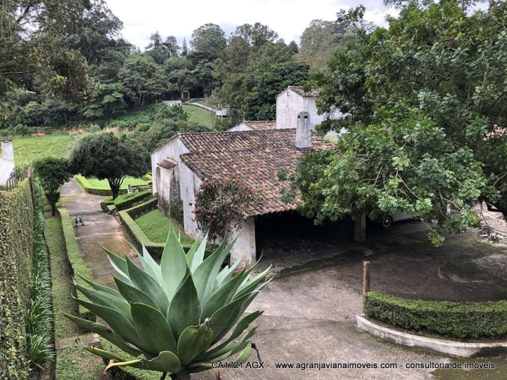 Casa, 4 quartos, 800 m² - Foto 3