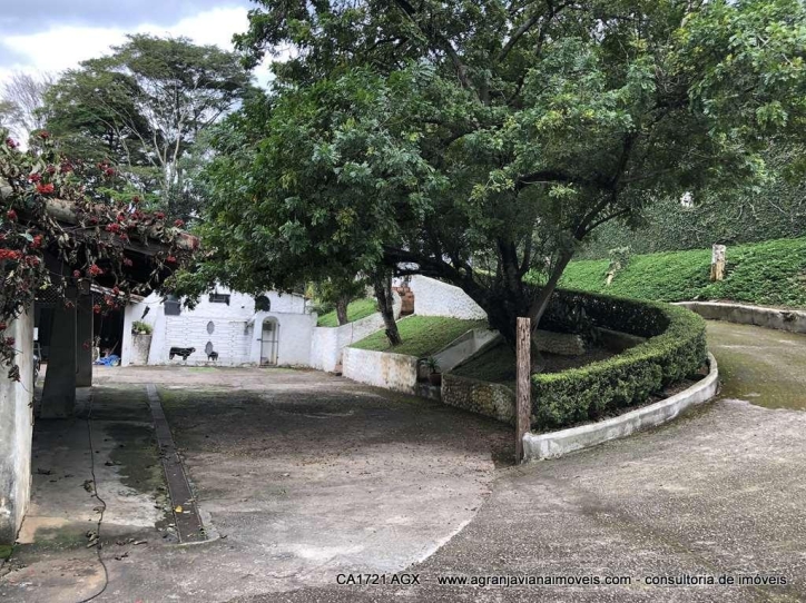 Casa, 4 quartos, 800 m² - Foto 6