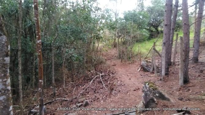 Terreno, 2 hectares - Foto 8