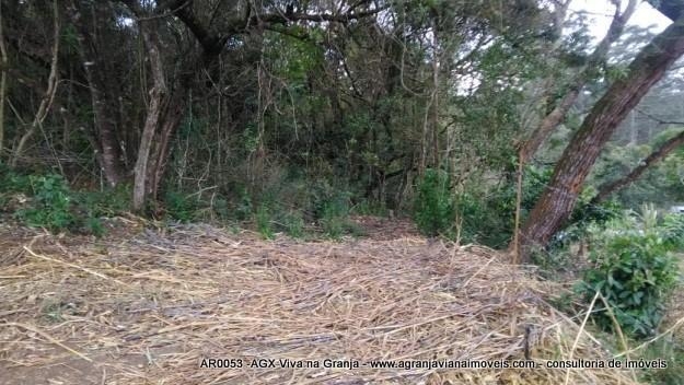 Terreno, 2 hectares - Foto 9