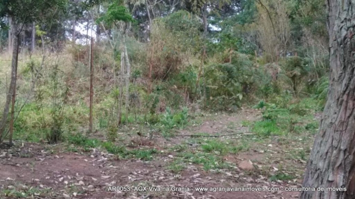 Terreno, 2 hectares - Foto 10