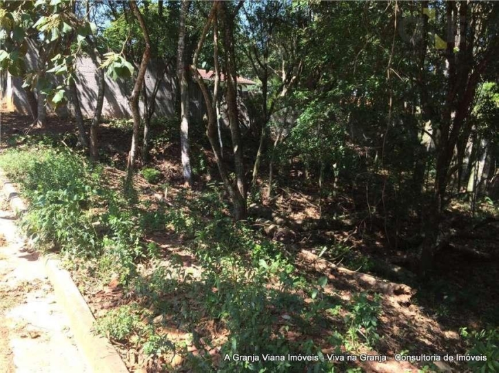 Terreno, 300 m² - Foto 4
