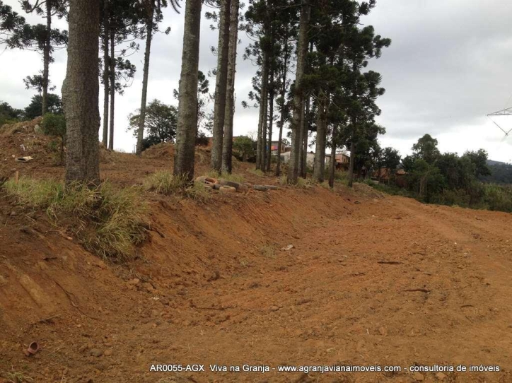 Terreno, 2742 m² - Foto 5