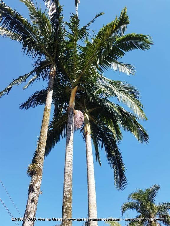 Casa, 3 quartos, 256 m² - Foto 25