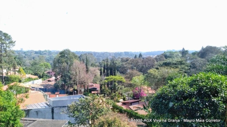 Casa, 4 quartos, 800 m² - Foto 20