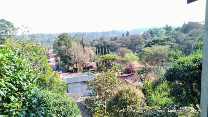 Casa, 4 quartos, 800 m² - Foto 36