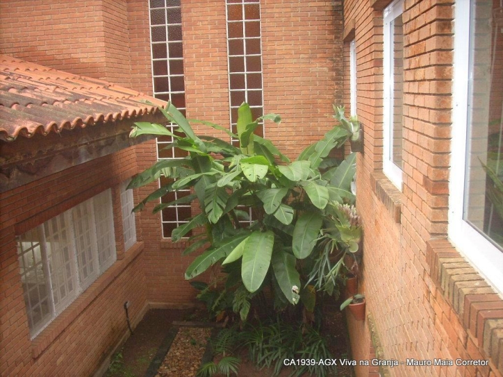 Casa, 3 quartos, 310 m² - Foto 40