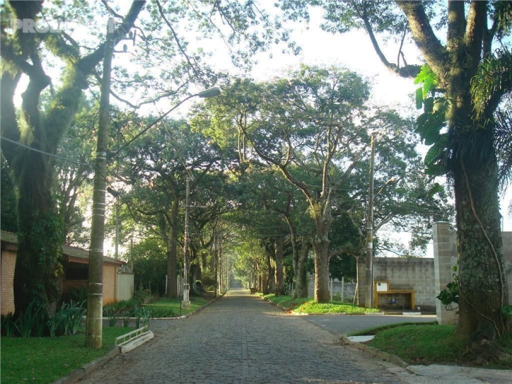 Terreno, 525 m² - Foto 3