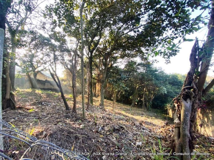 Terreno, 2334 m² - Foto 6