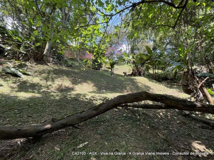 Casa, 4 quartos, 209 m² - Foto 37