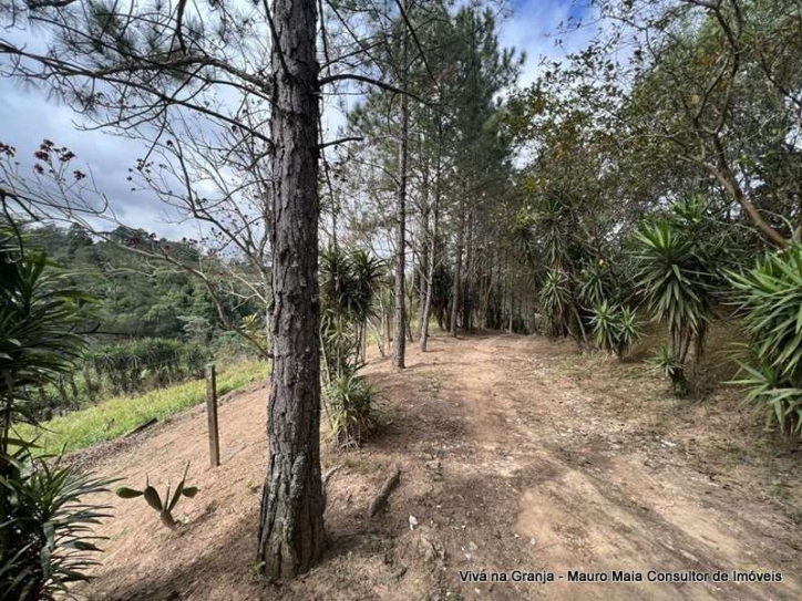 Terreno, 2 hectares - Foto 9