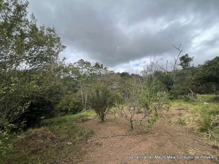 Terreno, 2 hectares - Foto 11