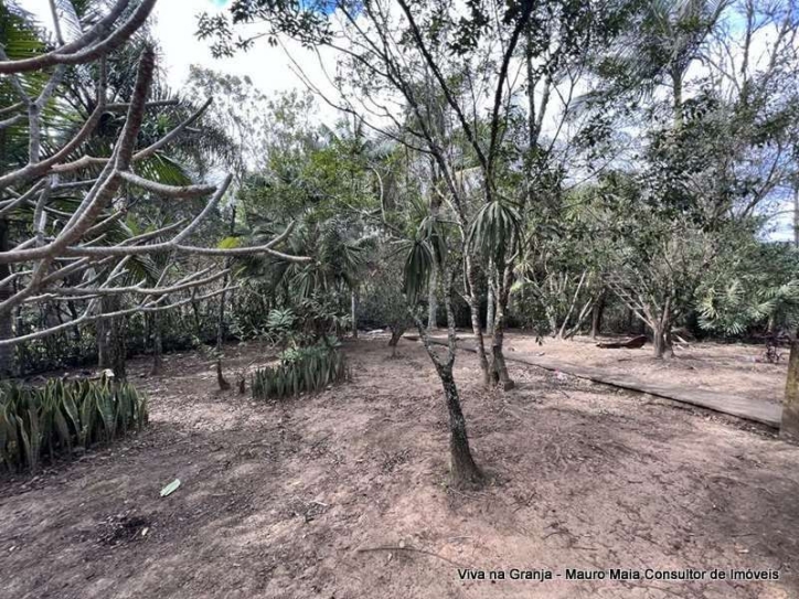 Terreno, 2 hectares - Foto 12