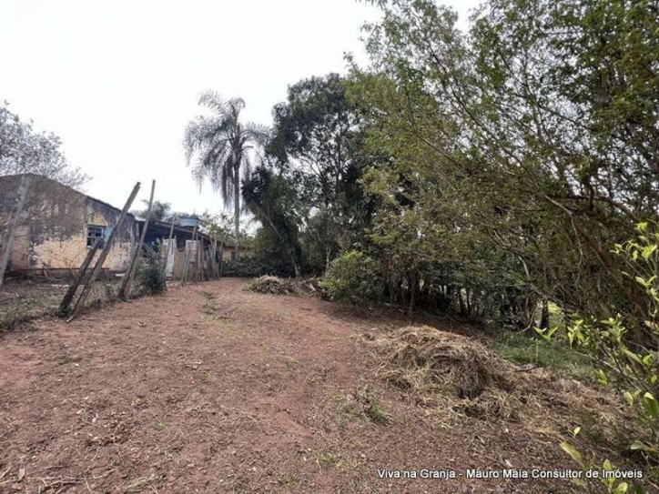 Terreno, 2 hectares - Foto 17