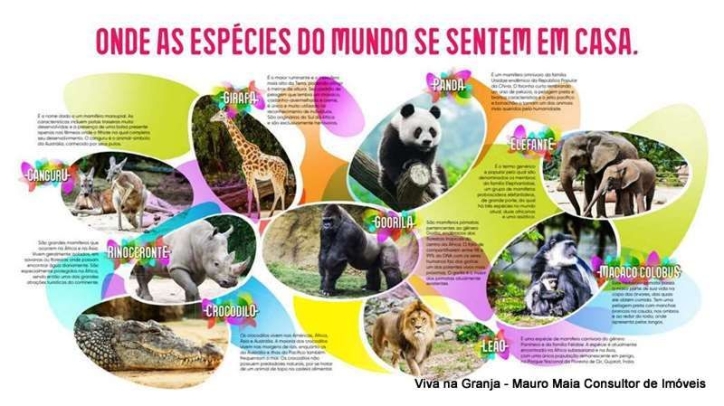 Terreno, 2 hectares - Foto 30