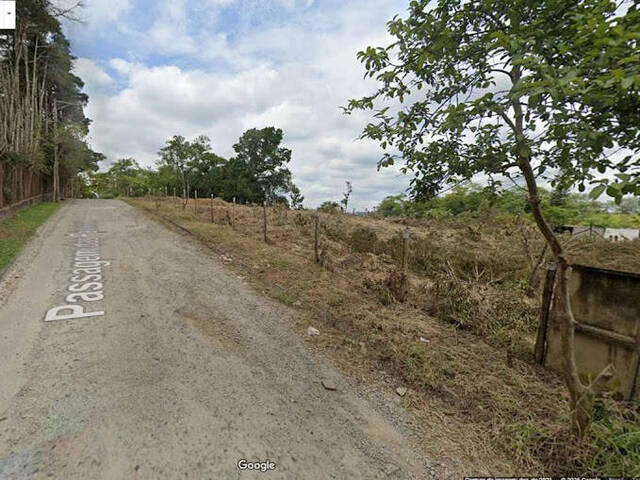 #TE3546 - Área para Venda em Embu das Artes - SP - 3